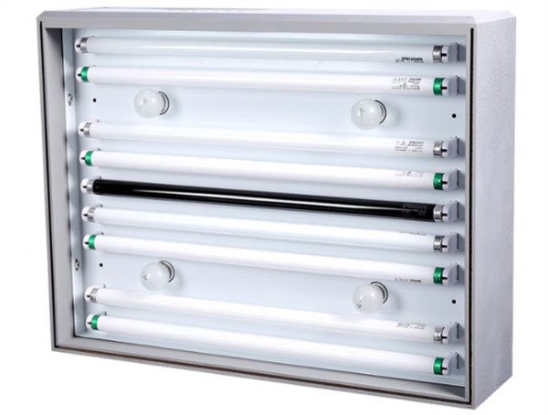 91免费视频网页版