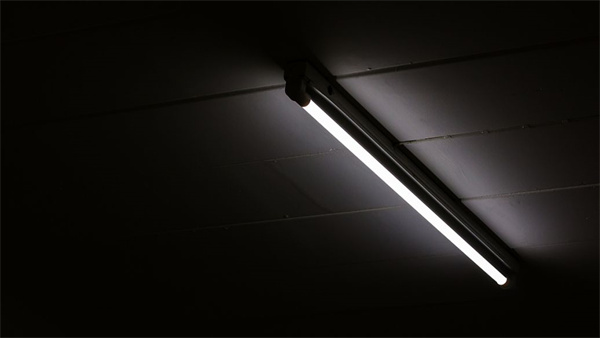 LED91免费视频网页版