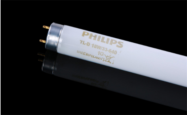 CWF91免费视频网页版